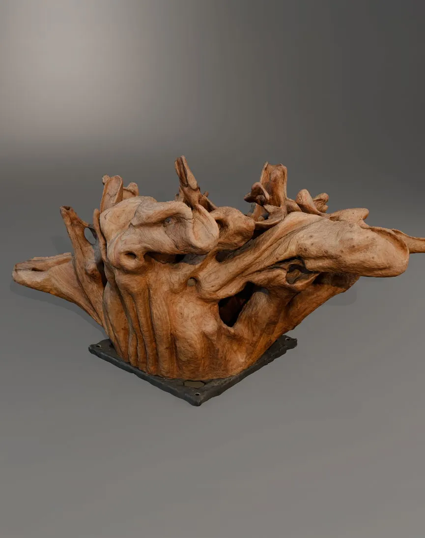 Darlingtonia (Wall / Floor) - View 1